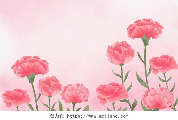 手绘母亲节康乃馨粉色花朵插画海报背景